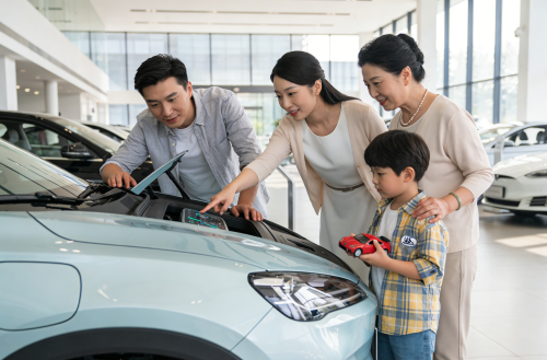 如何选择适合自己的电动车：北美华人购车指南